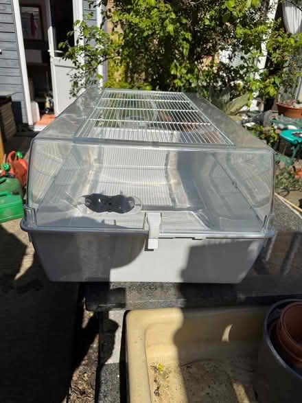 Photo of free Hamster / Mouse home, as new (Marcham OX13) #2