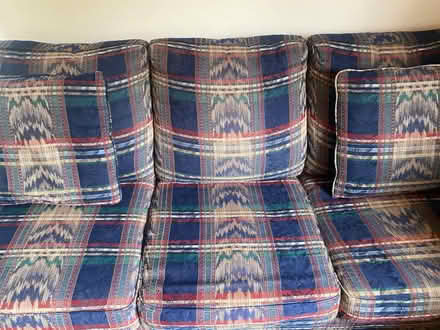 Photo of free Hide a bed (San Jose) #2