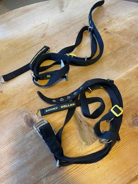 Photo of free Large dog harnesses & small lead (Wimbledon Park SW19) #3