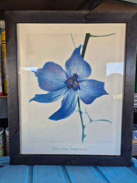 Photo of free fleur olby delphinium print (Harley Shute TN38) #1