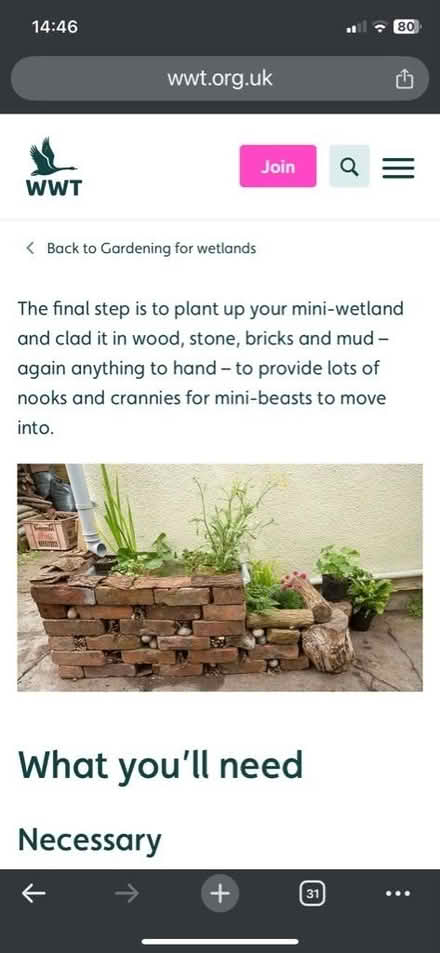 Photo of Bricks and logs to surround drainpipe wetland (Ware SG12) #1