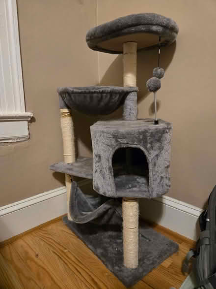 Photo of free Tall cat tower (Bethesda) #1