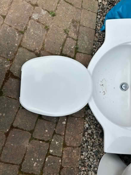 Photo of free Toilet and sink (Taunton) #2