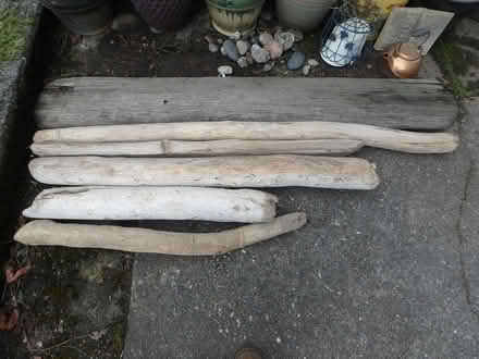 Photo of free Large Driftwood (Interbay/Queen Anne) #1
