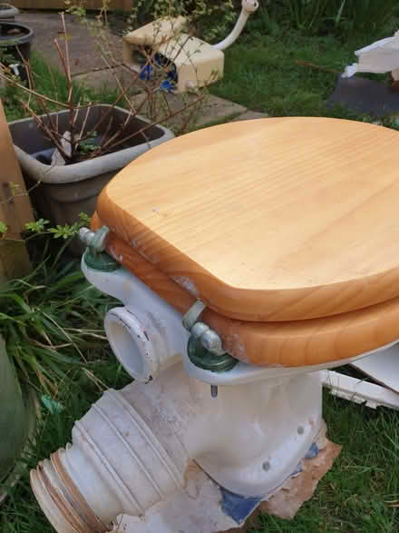 Photo of free Toilet with wooden seat and cistern (Eastbourne BN21) #2