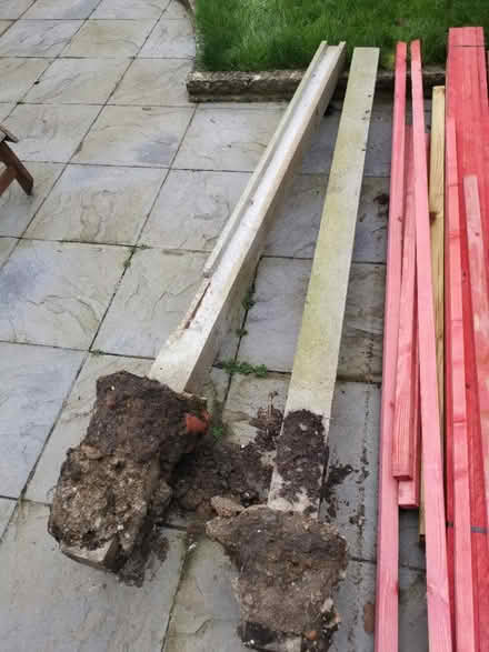 Photo of free 2x fence pole (Chessington KT9) #1
