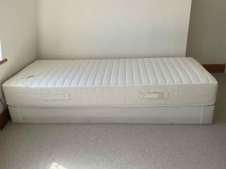 Photo of free Single Ikea divan bed (Richmond TW9) #1