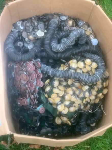 Photo of free About a thousand buttons (Farlington PO6) #1