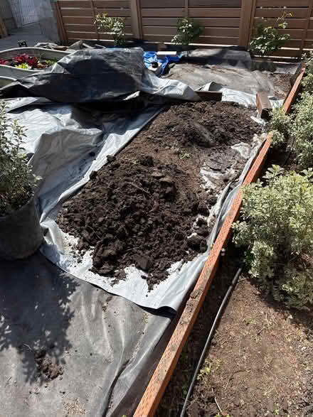 Photo of free soil (Redwood city) #1