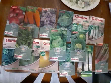 Photo of free Vegetable Seeds (Mattersey Thorpe DN10) #1