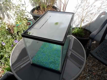 Photo of free Fish Tank (Bexhill TN39) #2