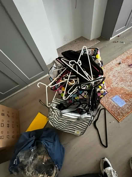 Photo of free Loads of hangers - various (BN3) #1