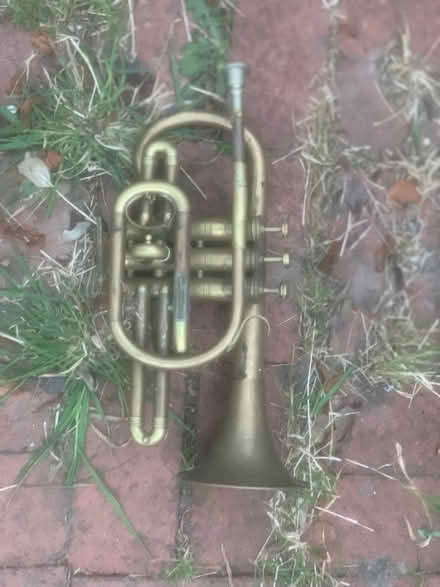 Photo of free Trumpet (Farlington PO6) #1