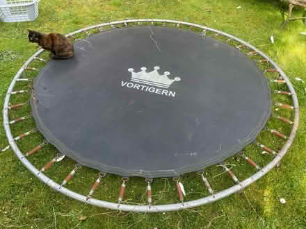 Photo of free Garden trampoline - 7/8 ft (SE24 9PU) #1