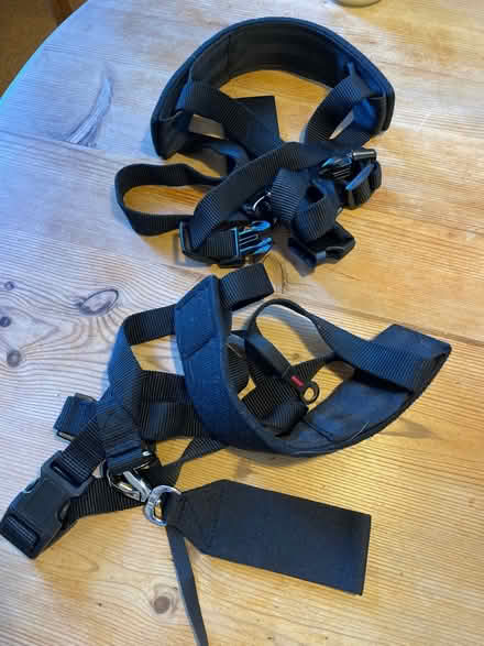 Photo of free Large dog harnesses & small lead (Wimbledon Park SW19) #4