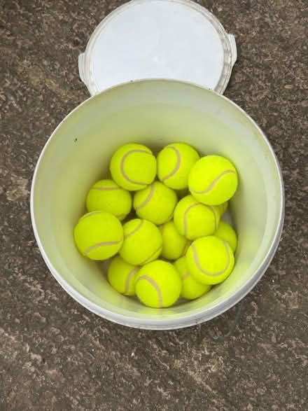 Photo of free 18 Tennis Balls (Bangor-on-Dee LL13) #1