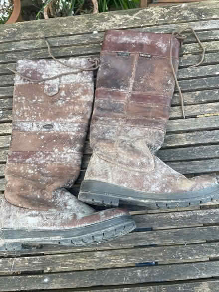 Photo of free Dubarry Galway boots size 5 (Roffey, Horsham) #3