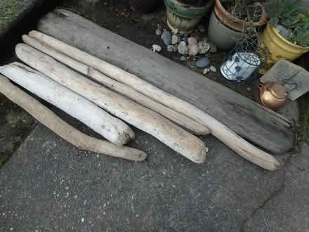 Photo of free Large Driftwood (Interbay/Queen Anne) #2