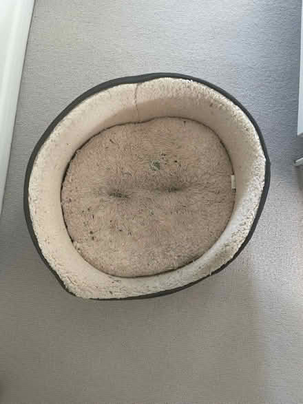 Photo of free Dog bed (Wimbledon Village) #1