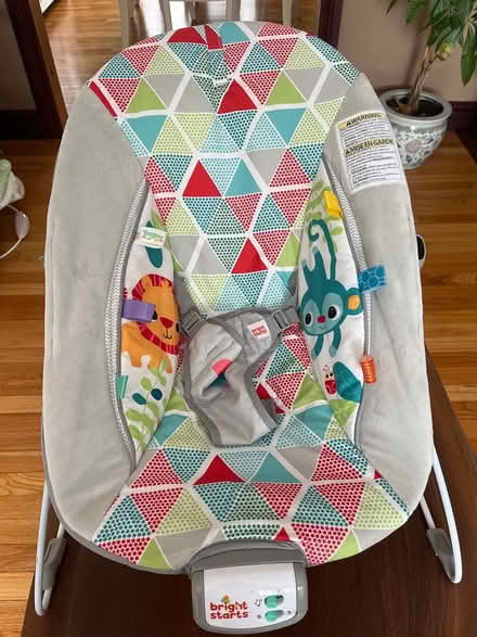 Photo of free Bright Starts Infant Seat (McKellar) #1