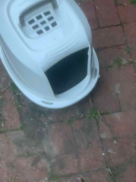 Photo of free Smallish litter box NO DOOR (Farlington PO6) #1