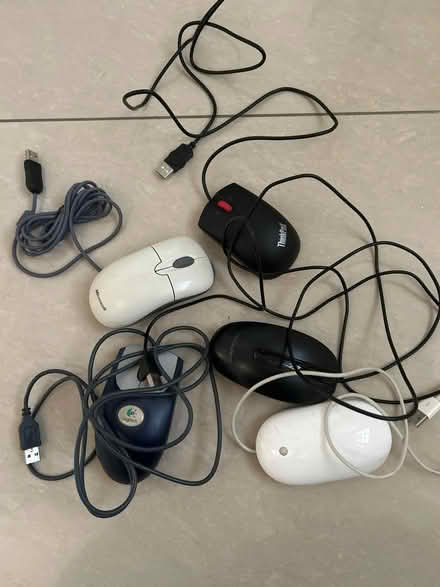 Photo of free Mouse (Northolt) #1