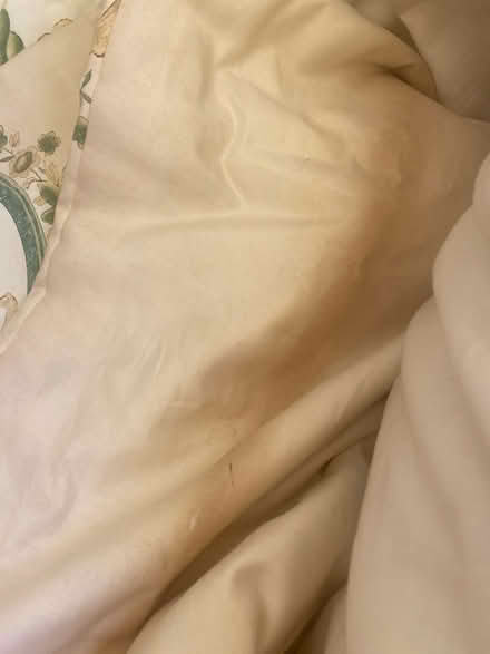 Photo of free Curtains - full length (Canford Cliffs BH13) #4
