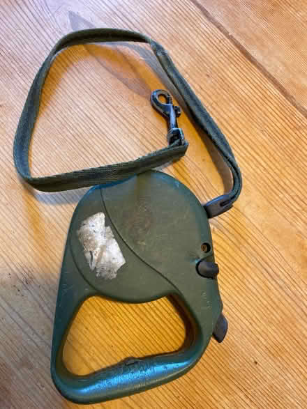 Photo of free Large dog harnesses & small lead (Wimbledon Park SW19) #2