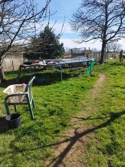 Photo of free 14 foot circumference trampoline (GU5 9 gomshall) #1