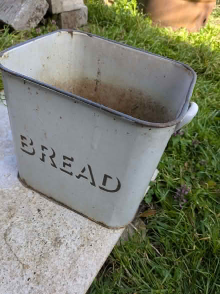 Photo of free Planter (City Centre NR3) #2