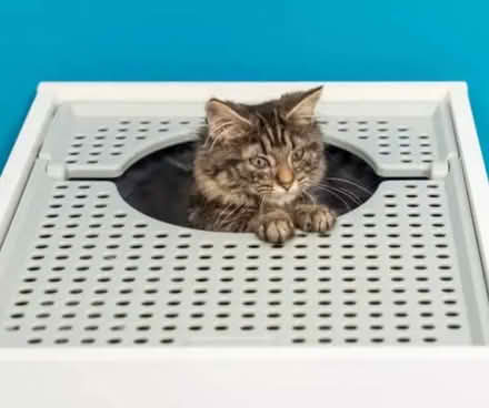 Photo of free New Jump On Cat Litter box - Omelet (Kings Langley WD4) #4