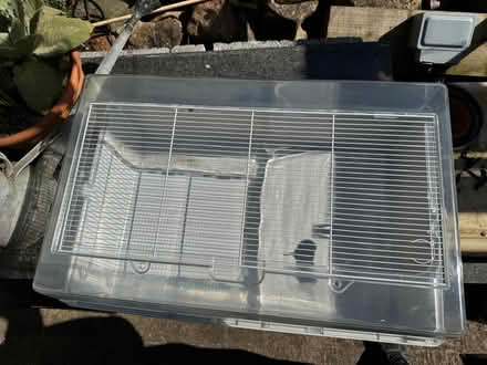 Photo of free Hamster / Mouse home, as new (Marcham OX13) #3