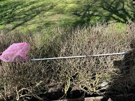Photo of free Kids net for rockpooling (Hassocks BN6) #1
