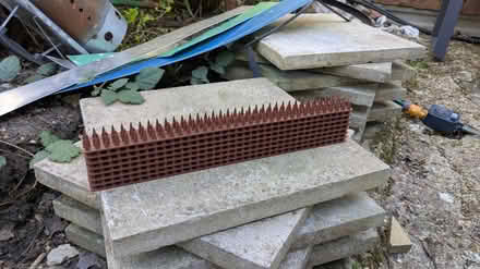 Photo of free Fence spikes (Worcester Park, London KT4) #1