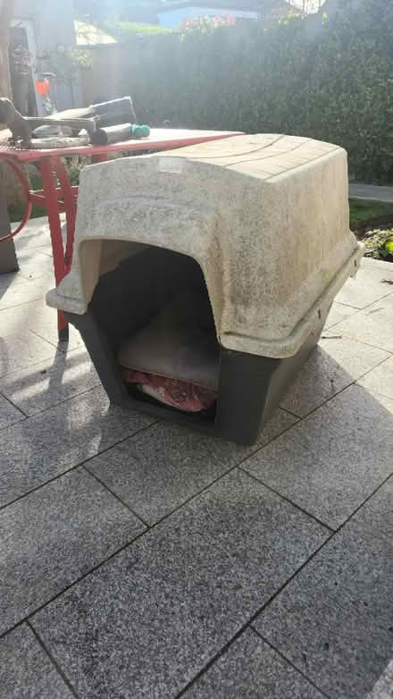 Photo of free Large dog bed (Killester) #1