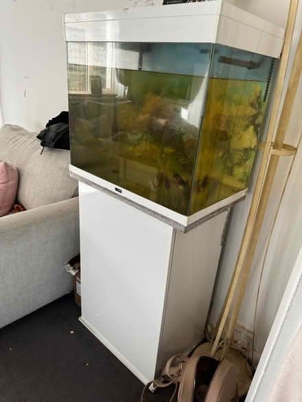 Photo of free Fish tank (Hadlow) #1