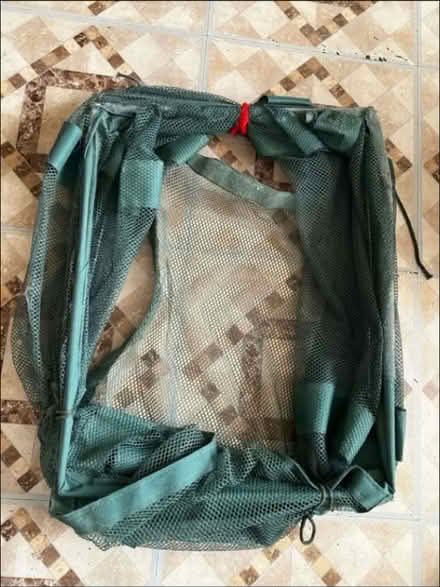 Photo of free Cat Supplies (1711 Randall Avenue, Bronx) #3