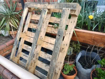 Photo of free Wooden Pallet (Newtown RG1) #1