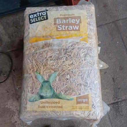 Photo of free Barley Straw (Worplesdon) #2