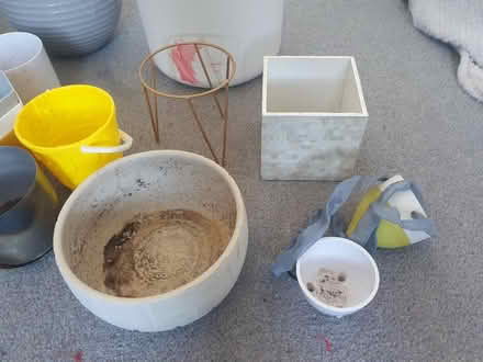 Photo of free various plant pots (G42) #3