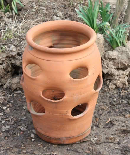 Photo of Strawberry Planter Pot (Chineham RG24) #1