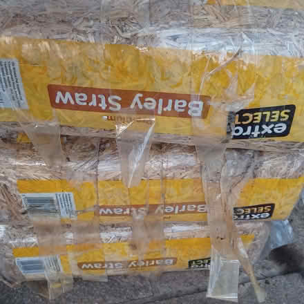 Photo of free Barley Straw (Worplesdon) #1