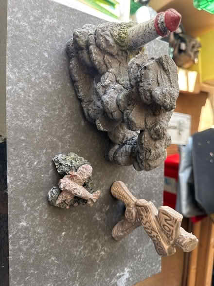Photo of free Aquarium Ornaments (Bloomfield) #1
