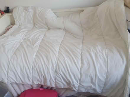 Photo of free single duvet (G42) #1