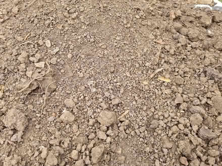 Photo of free top soil (CM2 springfield, chelmsford) #2
