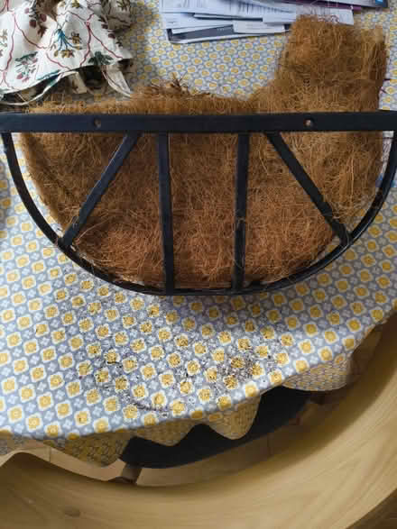 Photo of free Wall planter (Beeston, NG9) #2