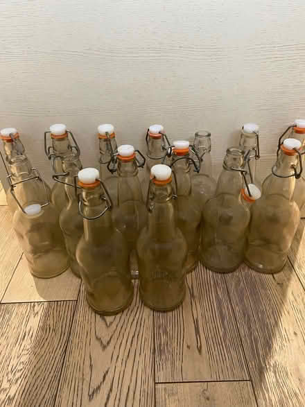 Photo of free 15 brewing bottles (Preston Park area BN1) #1