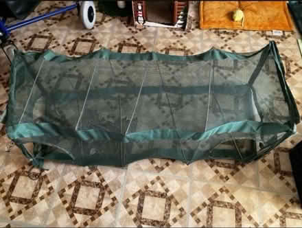 Photo of free Cat Supplies (1711 Randall Avenue, Bronx) #2
