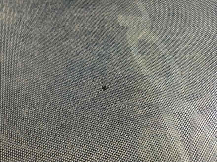 Photo of free 6ft Trampoline (Trowbridge BA14) #3