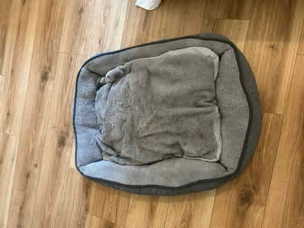 Photo of free Dog bed small/meduim size (Surbiton KT6) #2